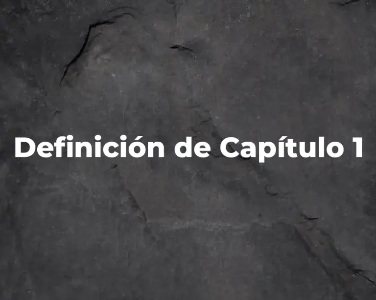 Definición de Capítulo 1