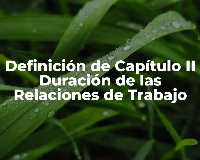 Definición de Capítulo II Duración de las Relaciones de Trabajo