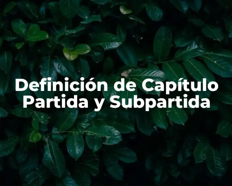 Definición de Capítulo Partida y Subpartida