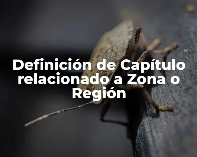 Definición de Capítulo relacionado a Zona o Región