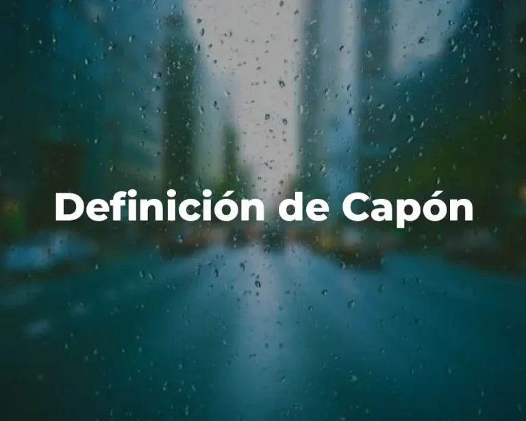 Definición de Capón