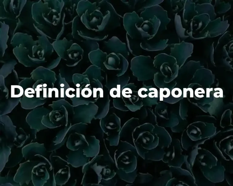 Definición de caponera