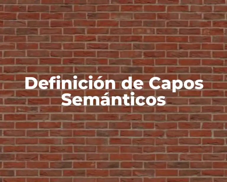 Definición de Capos Semánticos