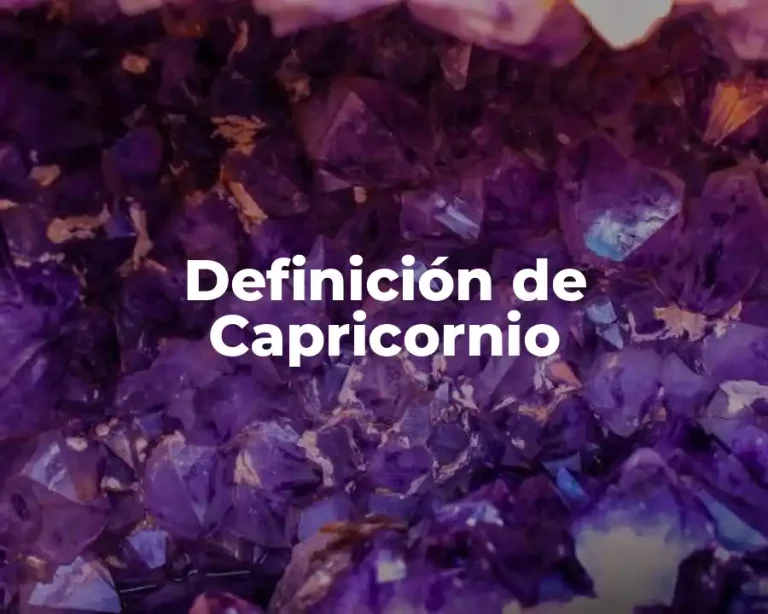 Definición de Capricornio