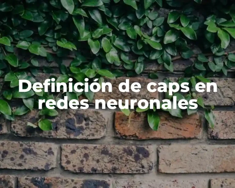 Definición de caps en redes neuronales