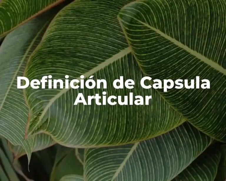 Definición de Capsula Articular