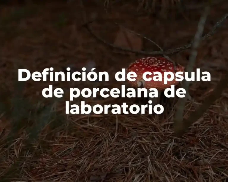 Definición de capsula de porcelana de laboratorio