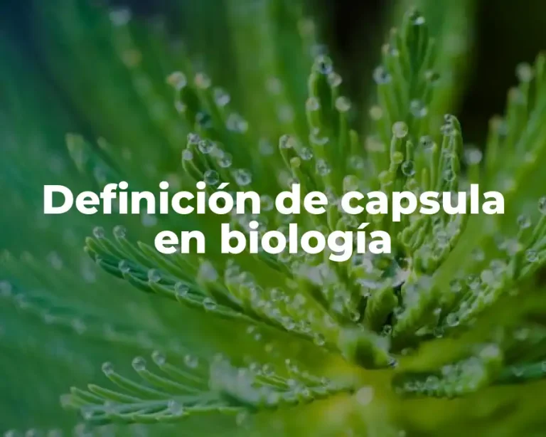 Definición de capsula en biología