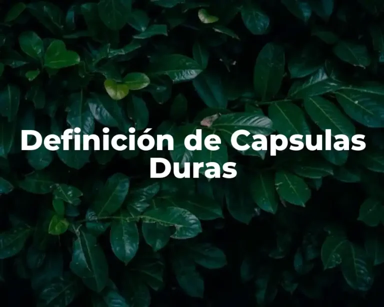Definición de Capsulas Duras