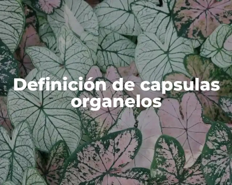 Definición de capsulas organelos