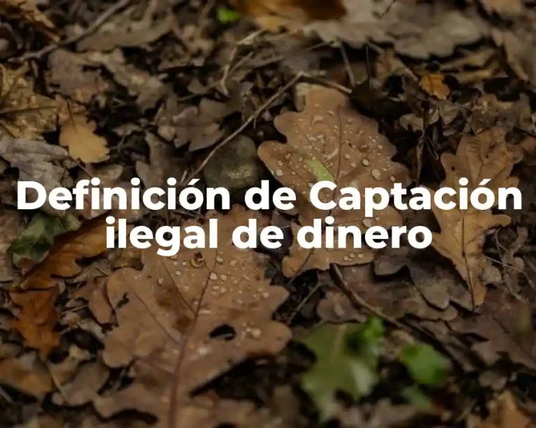 Definición de Captación ilegal de dinero