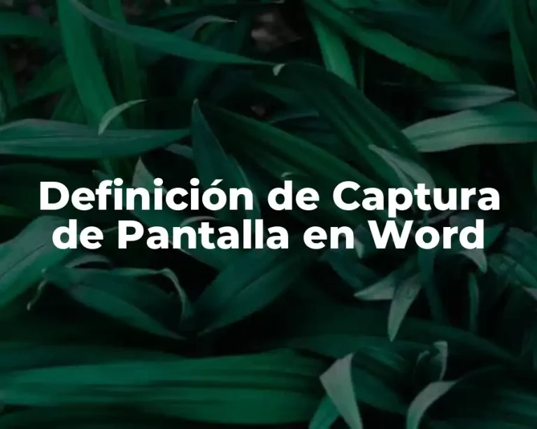 Definición de Captura de Pantalla en Word