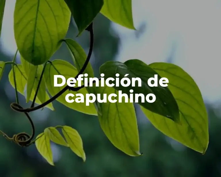 Definición de capuchino