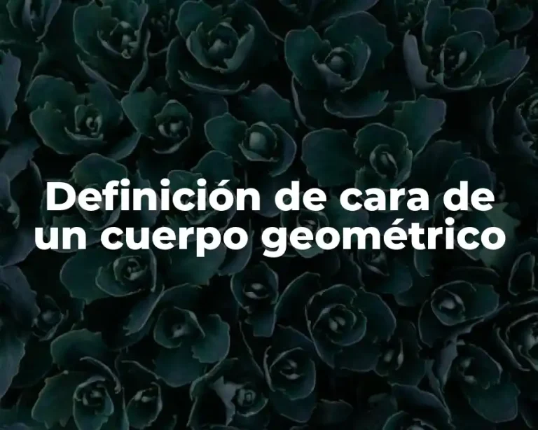 Definición de cara de un cuerpo geométrico