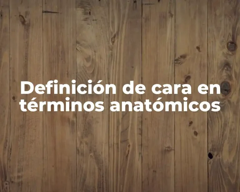 Definición de cara en términos anatómicos