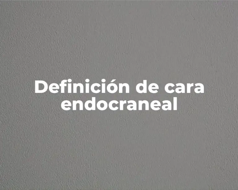 Definición de cara endocraneal