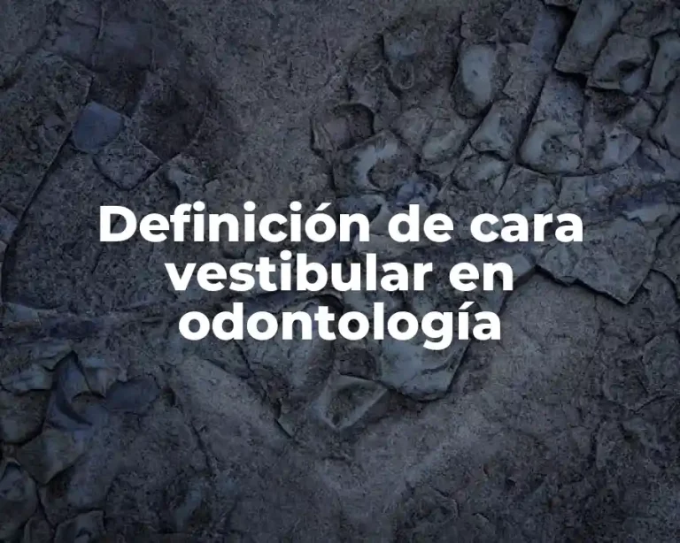 Definición de cara vestibular en odontología