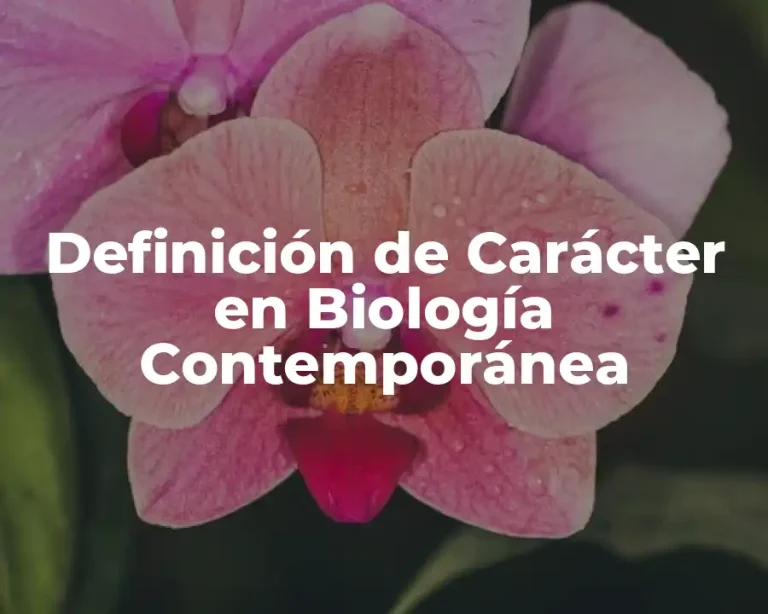 Definición de Carácter en Biología Contemporánea