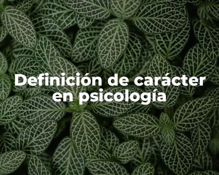Definición de carácter en psicología