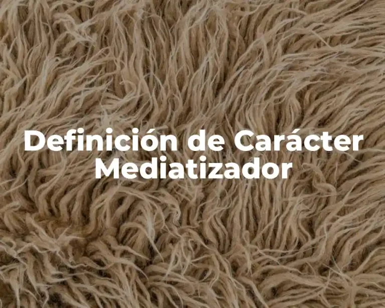 Definición de Carácter Mediatizador
