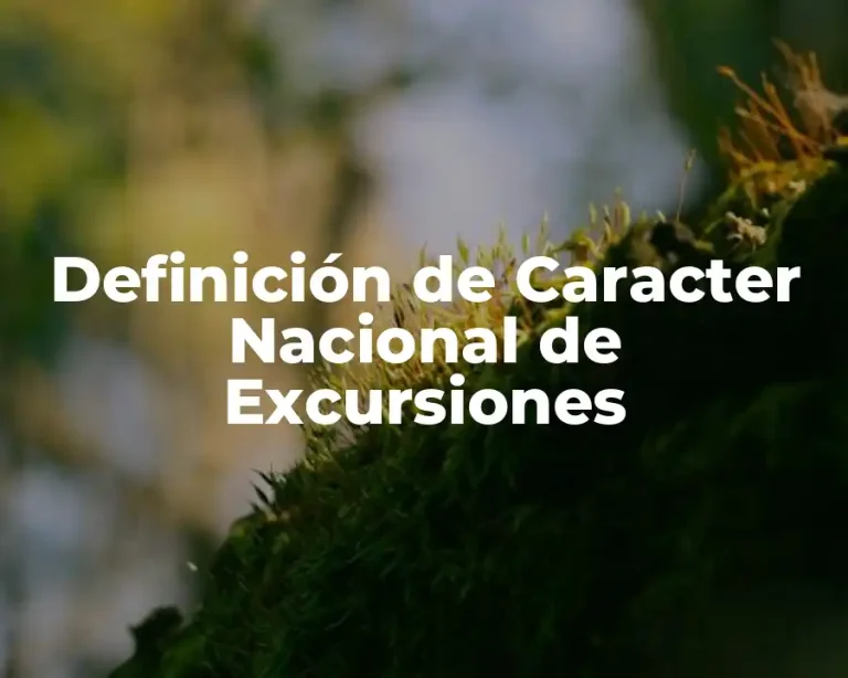 Definición de Caracter Nacional de Excursiones
