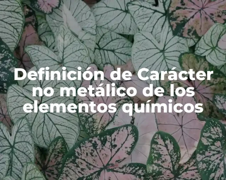 Definición de Carácter no metálico de los elementos químicos