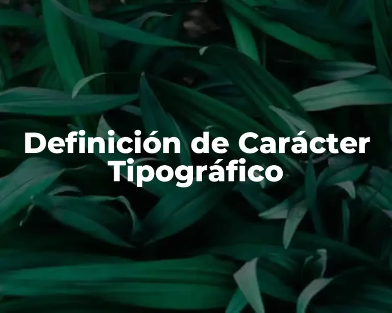 Definición de Carácter Tipográfico
