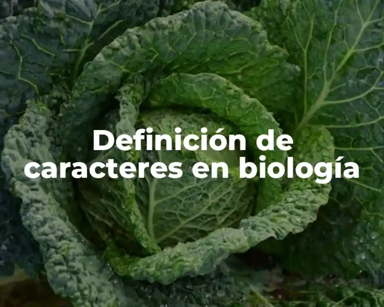 Definición de caracteres en biología
