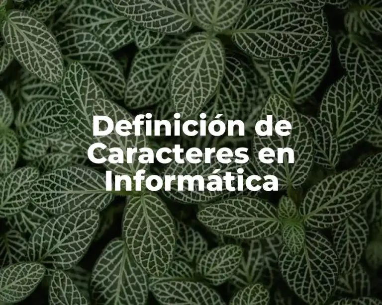 Definición de Caracteres en Informática