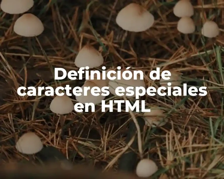 Definición de caracteres especiales en HTML