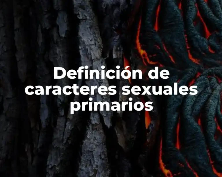 Definición de caracteres sexuales primarios