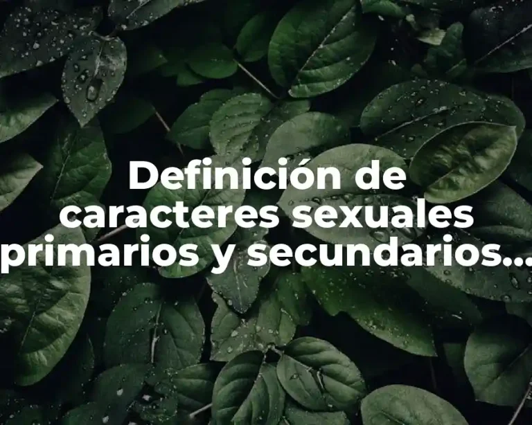 Definición de caracteres sexuales primarios y secundarios de desarrollo