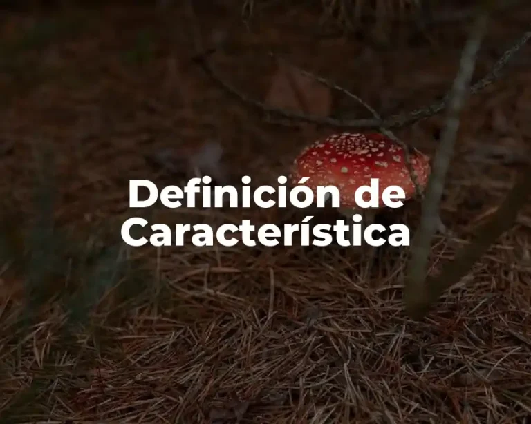 Definición de Característica