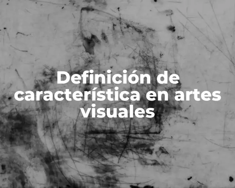 Definición de característica en artes visuales