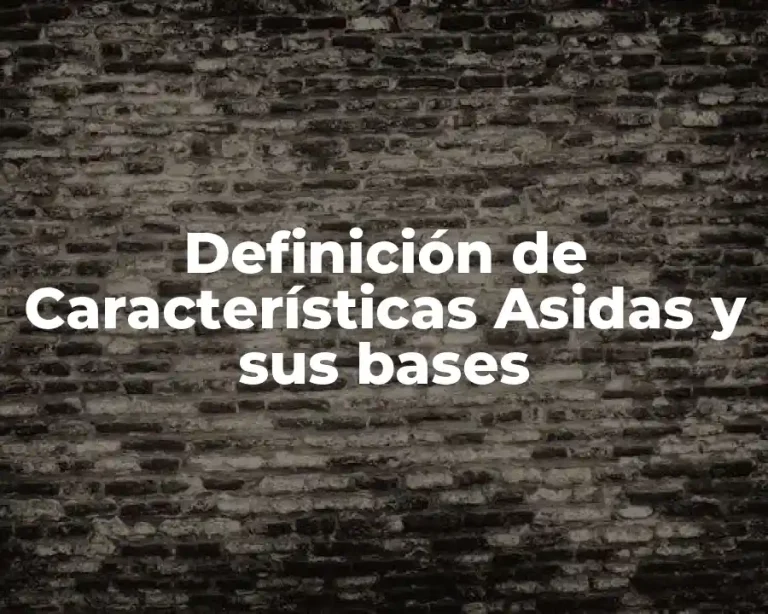Definición de Características Asidas y sus bases