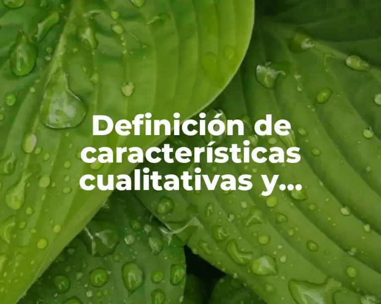 Definición de características cualitativas y cuantitativas