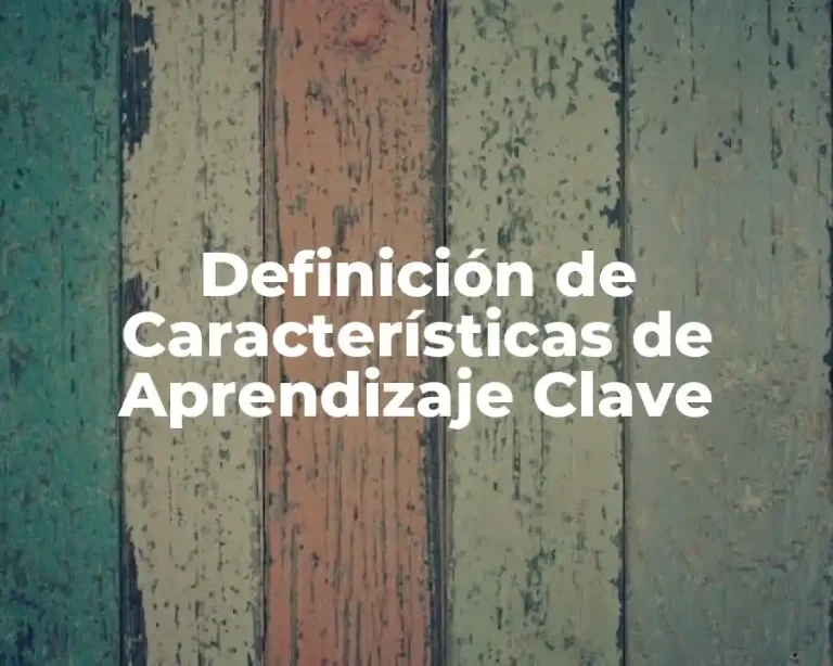 Definición de Características de Aprendizaje Clave