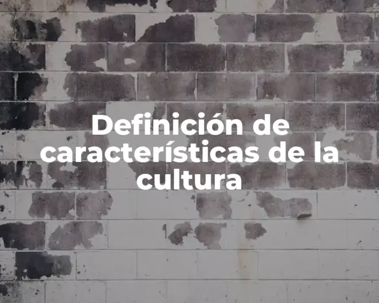 Definición de características de la cultura