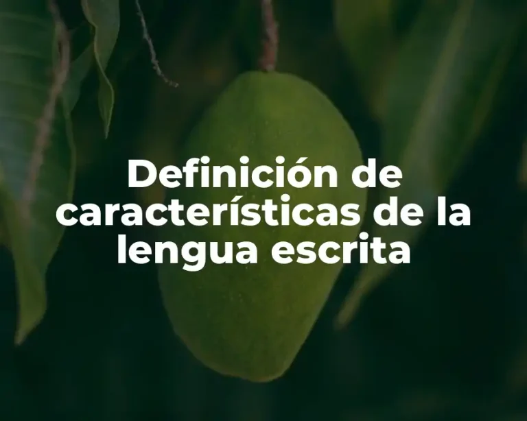 Definición de características de la lengua escrita