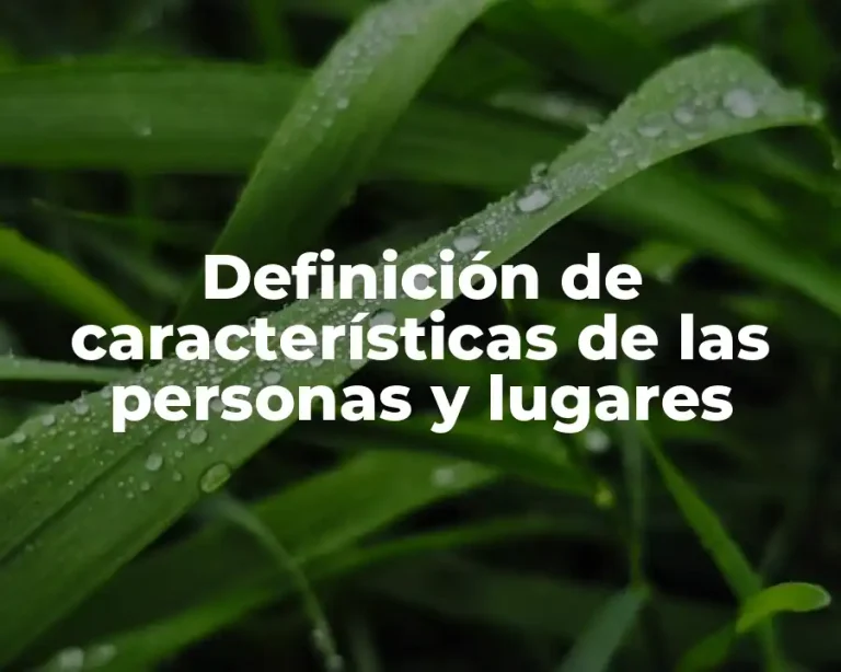 Definición de características de las personas y lugares