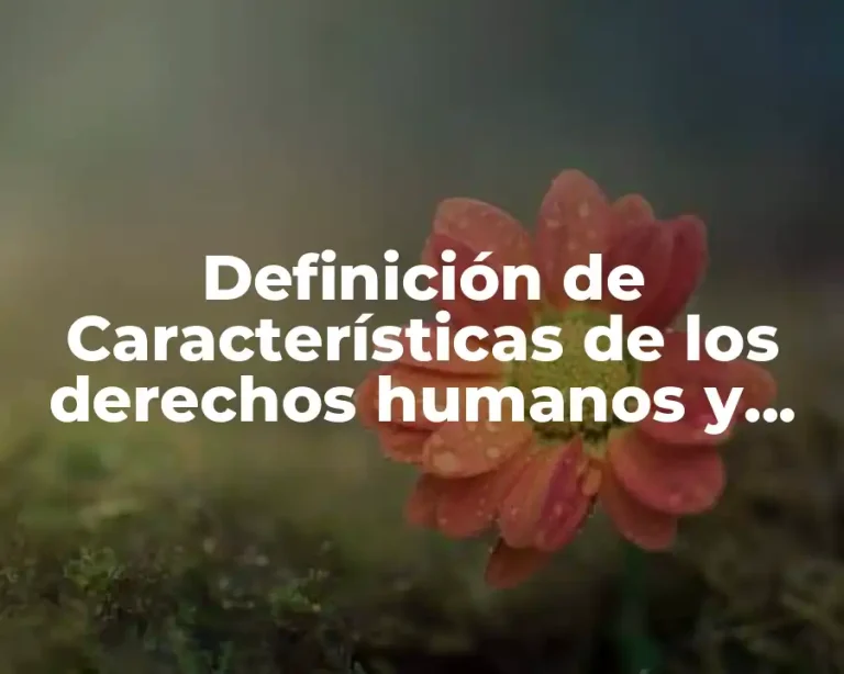 Definición de Características de los derechos humanos y imágenes