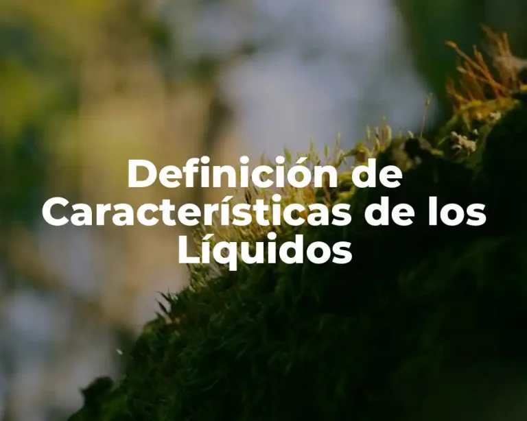 Definición de Características de los Líquidos