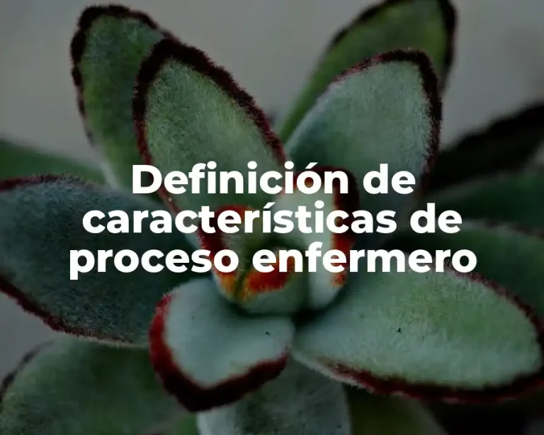 Definición de características de proceso enfermero