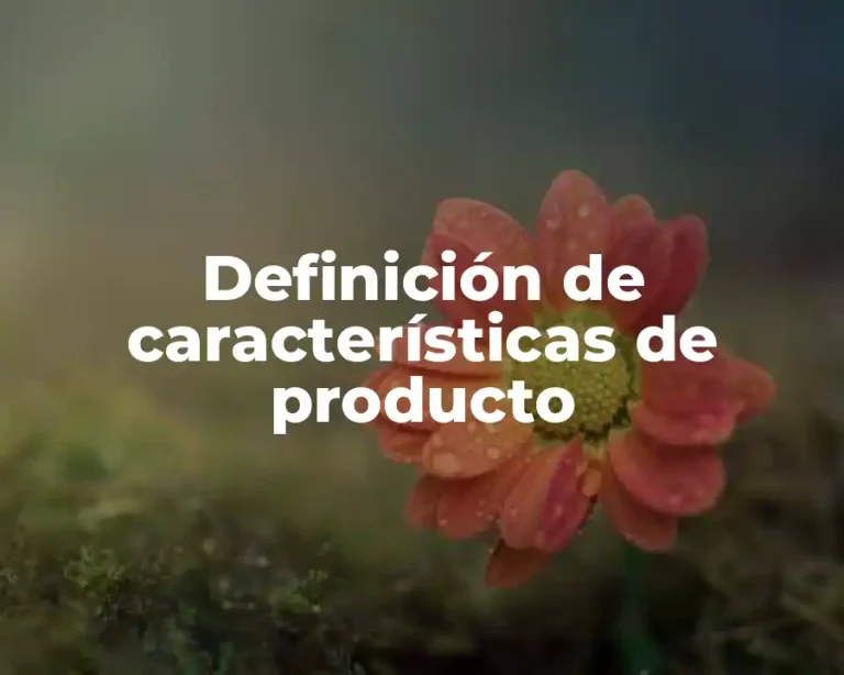 Definición de características de producto