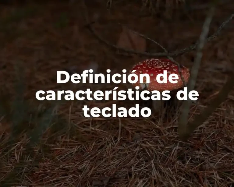 Definición de características de teclado