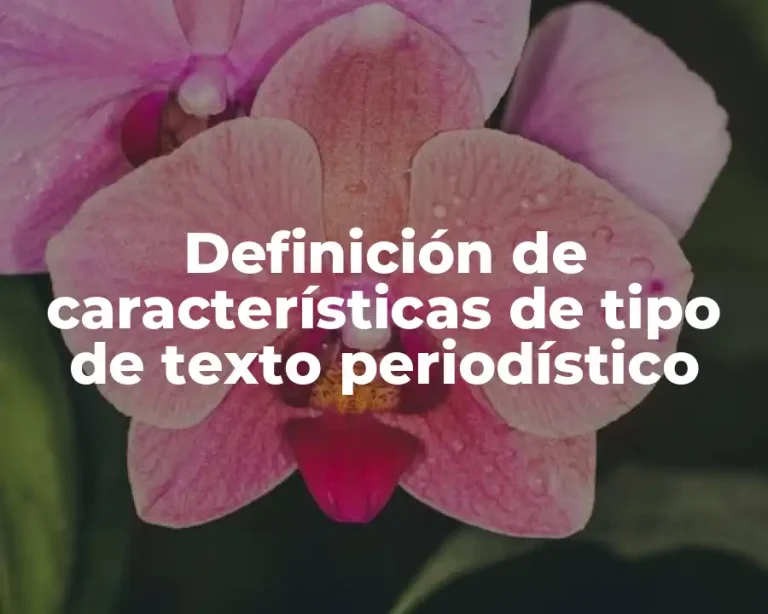 Definición de características de tipo de texto periodístico