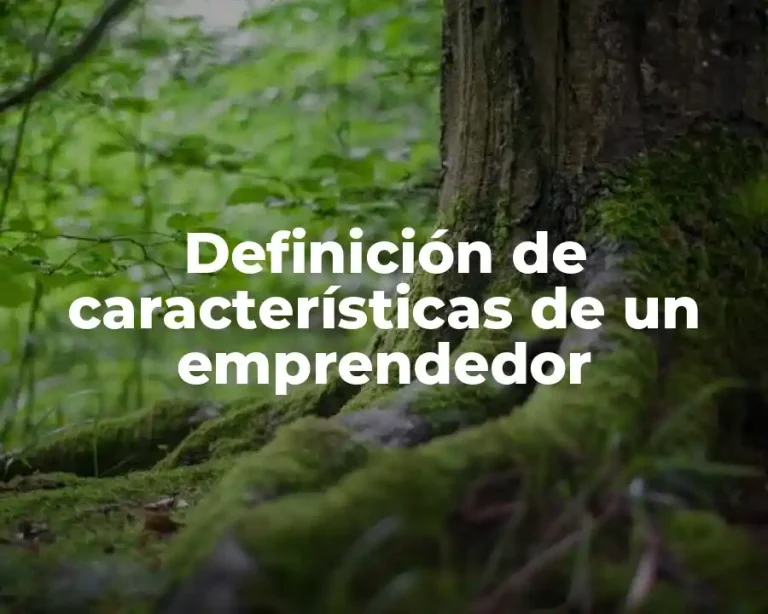 Definición de características de un emprendedor
