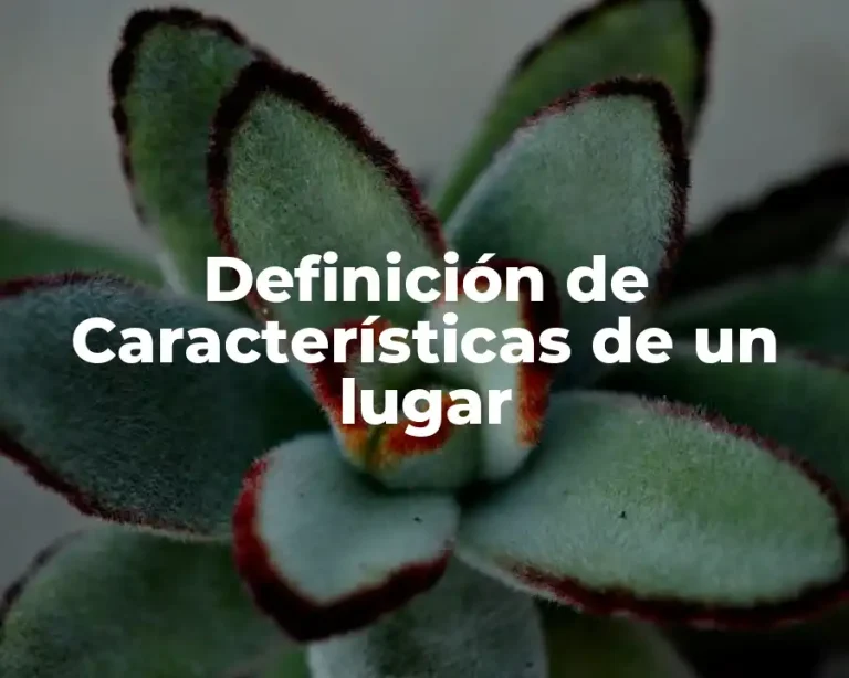 Definición de Características de un lugar