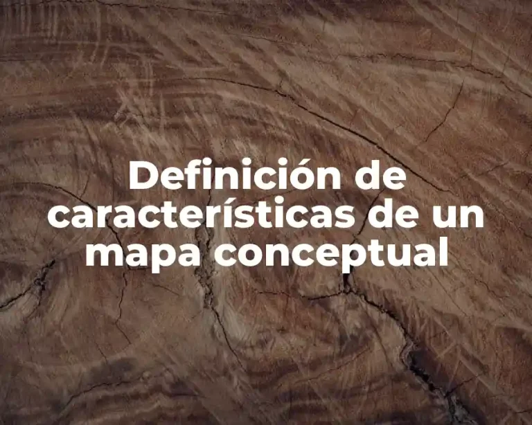 Definición de características de un mapa conceptual