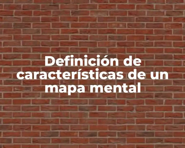Definición de características de un mapa mental